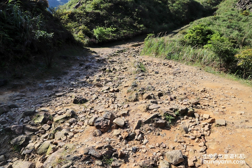 新北瑞芳【無耳茶壺山步道】180度金瓜石無敵海景超忘憂視野!!