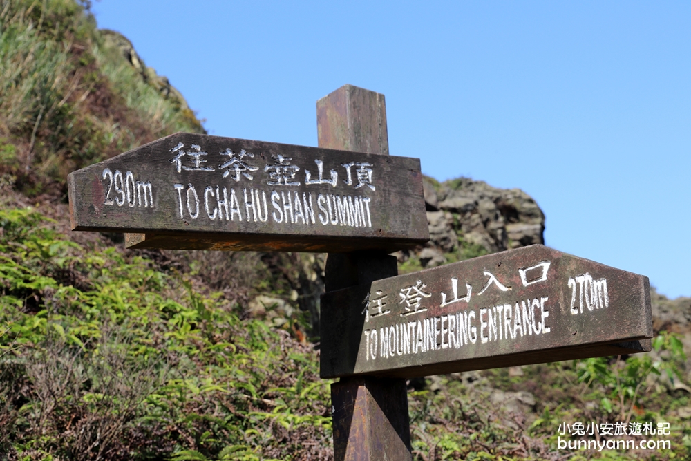 新北瑞芳【無耳茶壺山步道】180度金瓜石無敵海景超忘憂視野!!