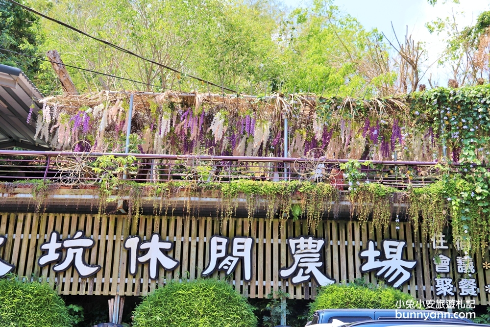 台南景點「大坑休閒農場」暢遊紫藤裝飾廊道，門票、環境、交通全攻略。