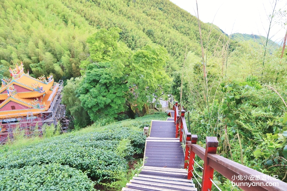 嘉義親民版抹茶山「二尖山步道」十分鐘輕鬆賞山嵐美景，茶園風光好美麗