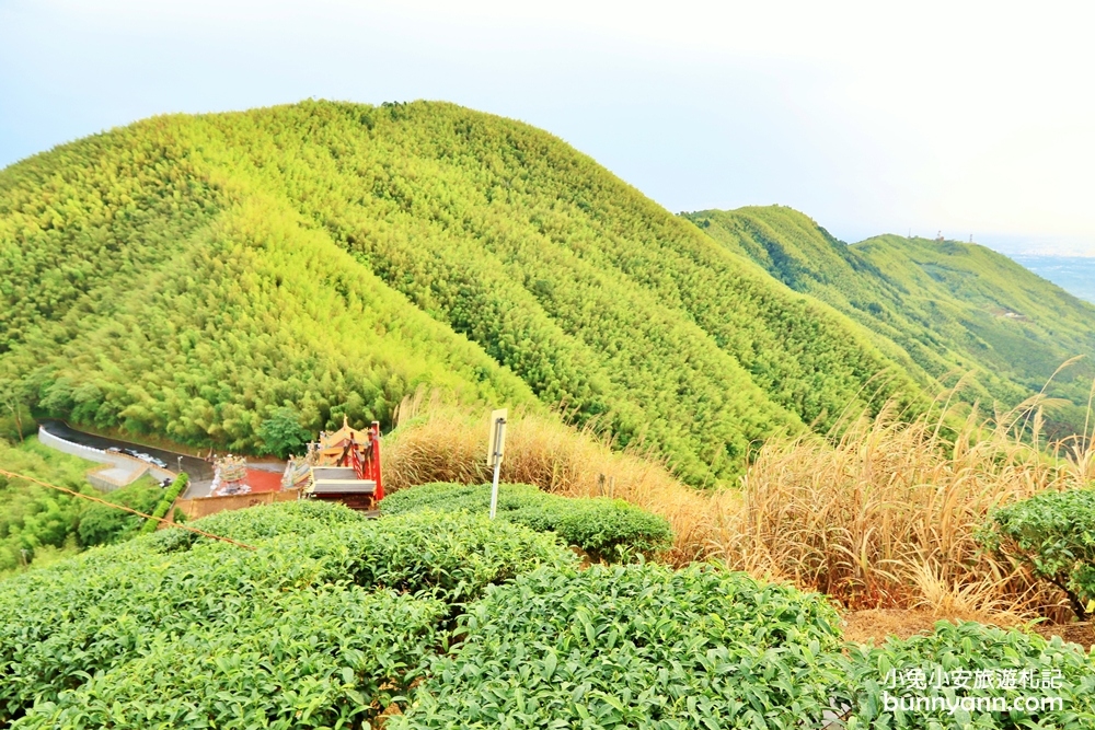 嘉義親民版抹茶山「二尖山步道」十分鐘輕鬆賞山嵐美景，茶園風光好美麗