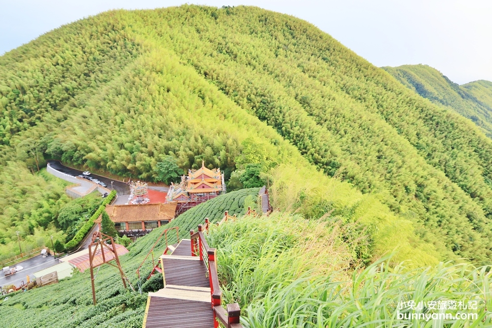 嘉義親民版抹茶山「二尖山步道」十分鐘輕鬆賞山嵐美景，茶園風光好美麗