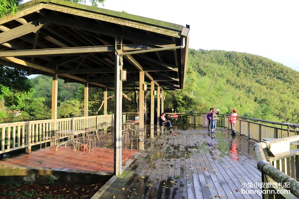 嘉義親民版抹茶山「二尖山步道」十分鐘輕鬆賞山嵐美景，茶園風光好美麗