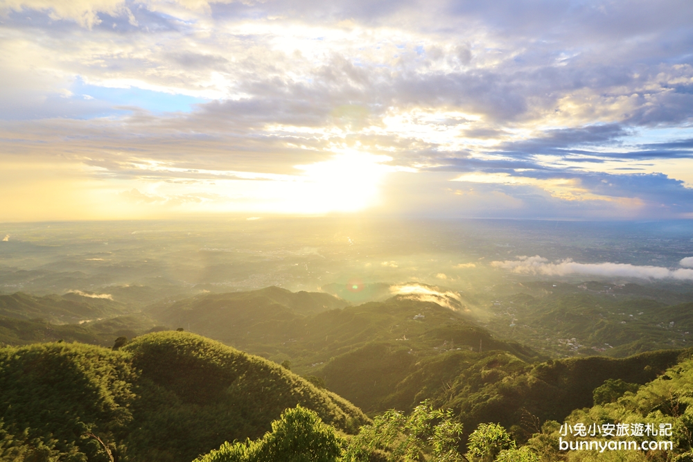 嘉義親民版抹茶山「二尖山步道」十分鐘輕鬆賞山嵐美景，茶園風光好美麗