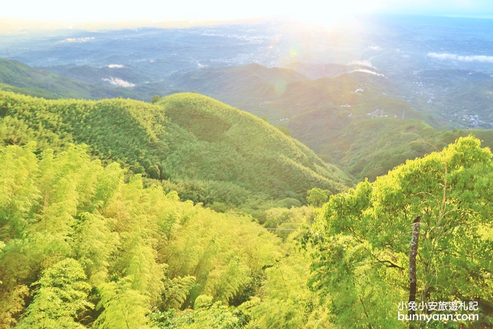 嘉義親民版抹茶山「二尖山步道」十分鐘輕鬆賞山嵐美景，茶園風光好美麗