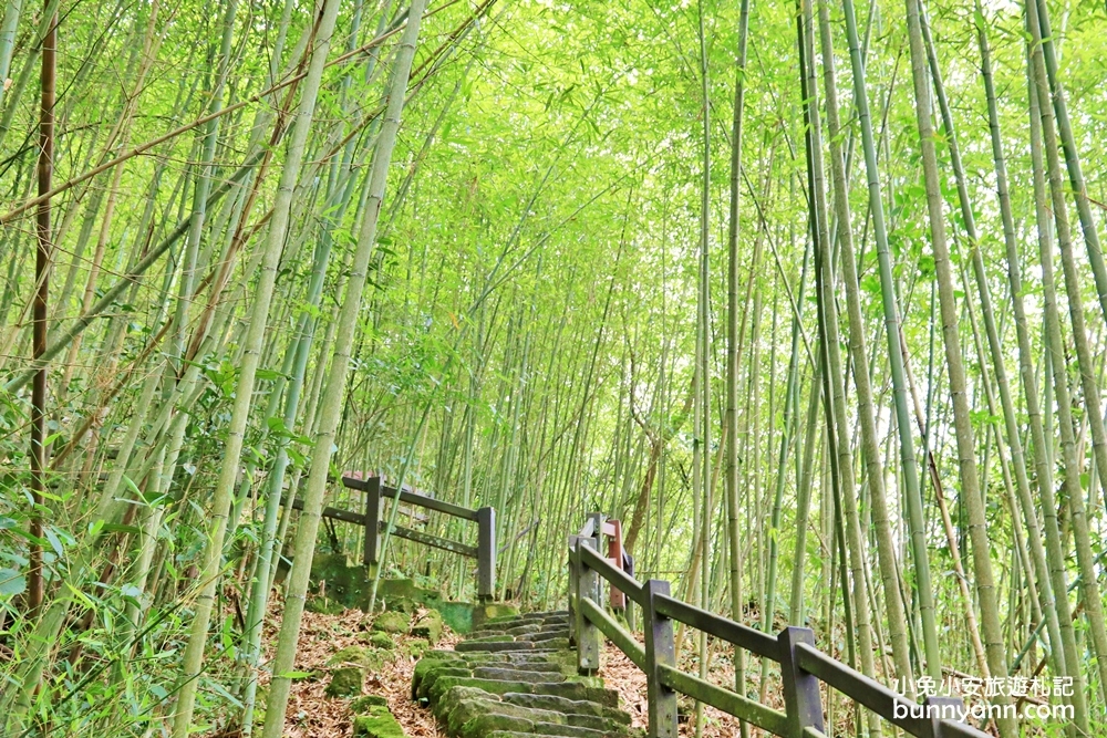 20分鐘攻略【雲潭瀑布】小京都綠色竹林美如仙境~