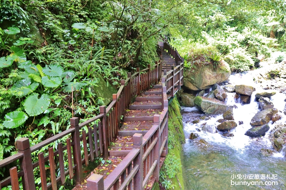 新竹尖石景點推薦！老鷹溪步道，20分鐘賞山谷飛瀑一日遊