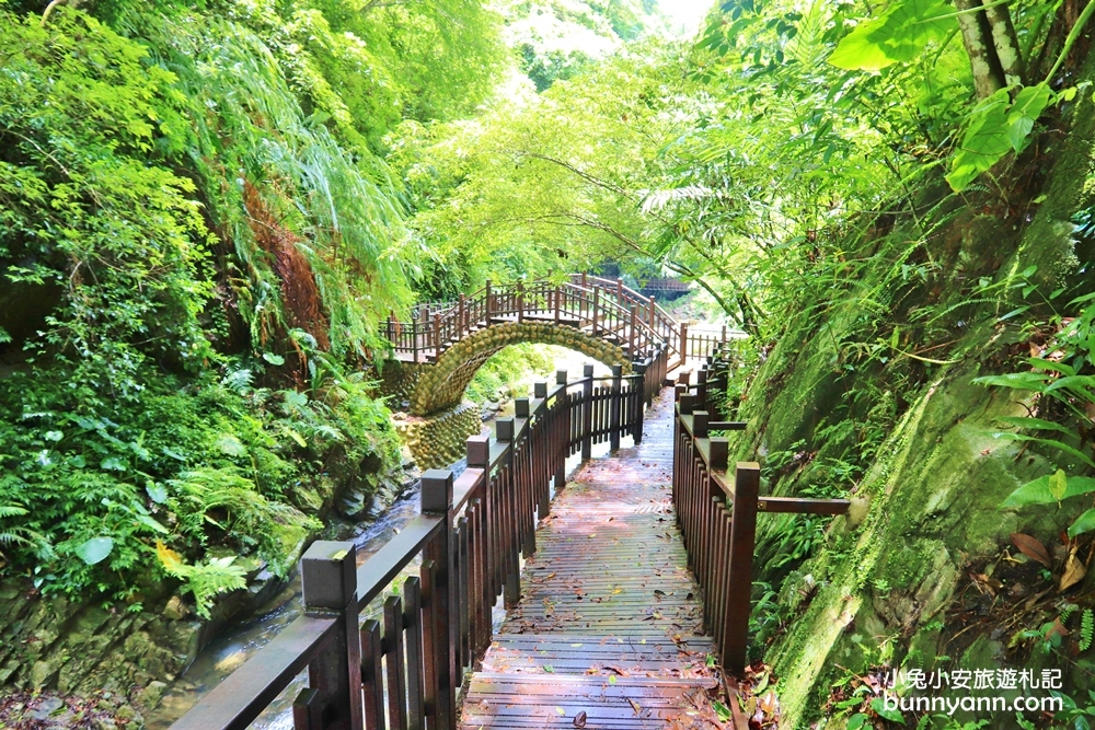 新竹尖石景點推薦！老鷹溪步道，20分鐘賞山谷飛瀑一日遊