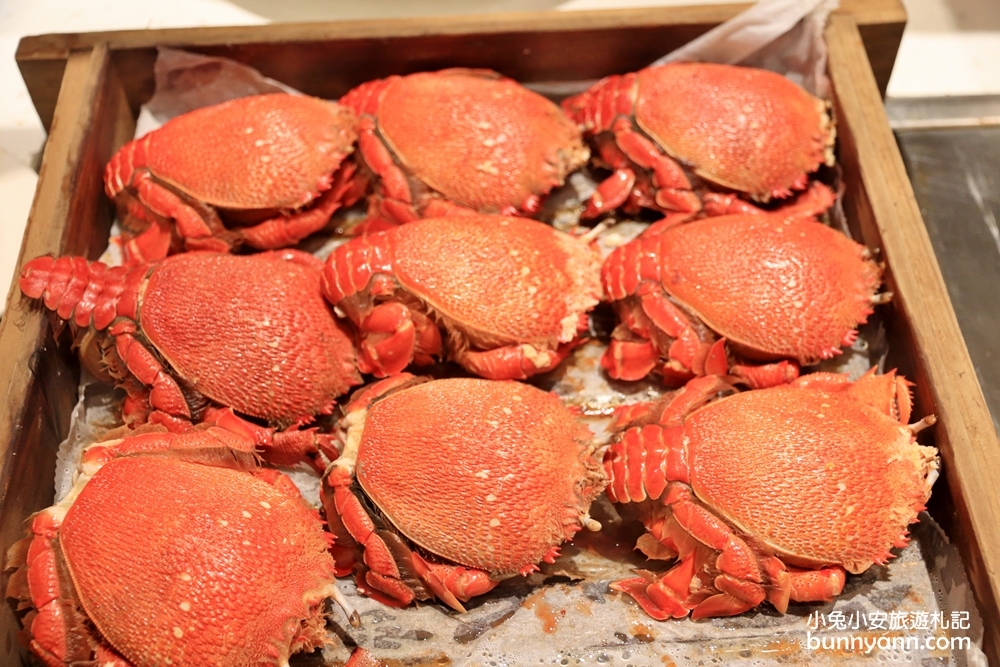 台中大坑【日光溫泉會館】親子遊戲室、露天風呂一泊二食全攻略