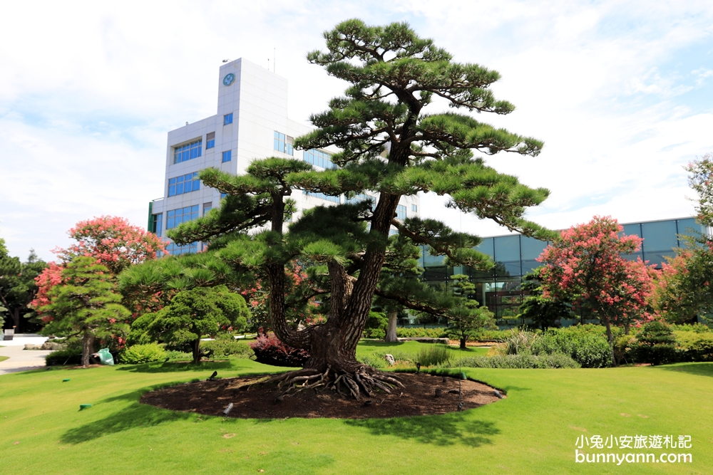 彰化美如日本兼六園！成美文化園好好拍，落羽松大道、日式庭院享受慢活人生