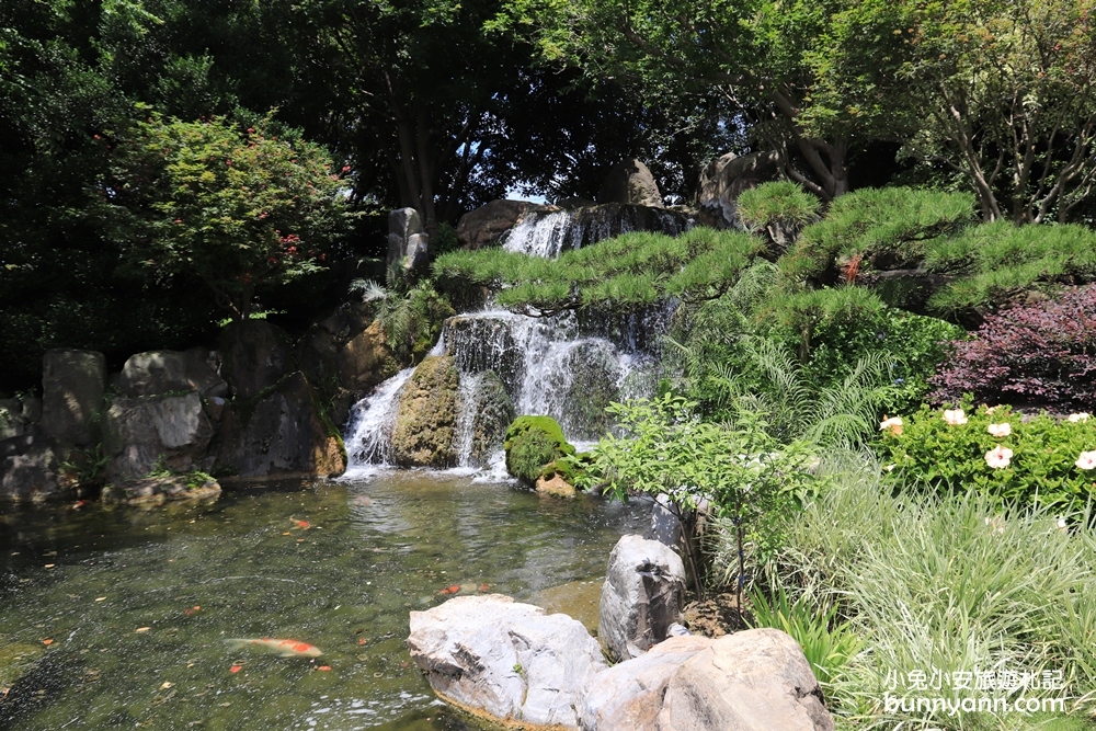 彰化【成美文化園】如詩如畫日式莊園，落羽松大道、禪意庭院、浪漫玫瑰園全攻略！