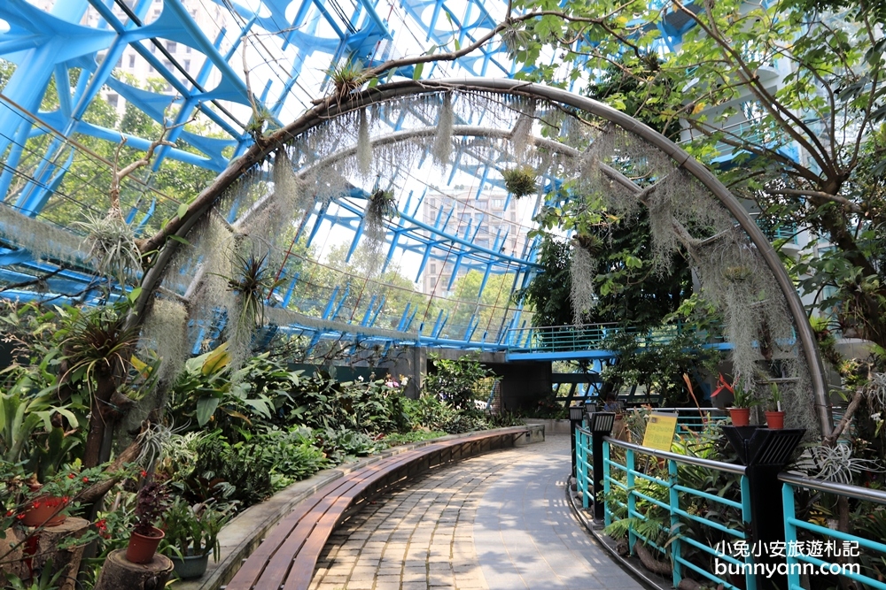 國立自然科學博物館植物園【台中植物園】小亞馬遜雨林一日遊