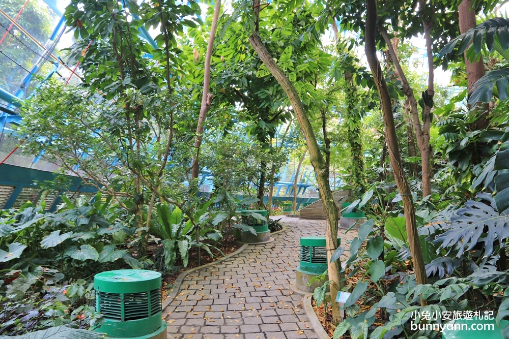 國立自然科學博物館植物園【台中植物園】小亞馬遜雨林一日遊