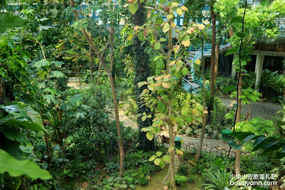 小亞馬遜雨林~台中植物園迷你熱帶雨林，走進叢林裡找尋冒險味道。