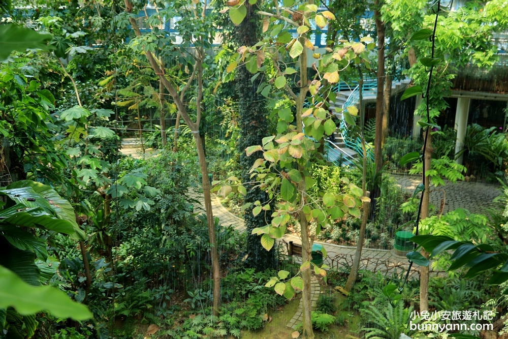 國立自然科學博物館植物園【台中植物園】小亞馬遜雨林一日遊