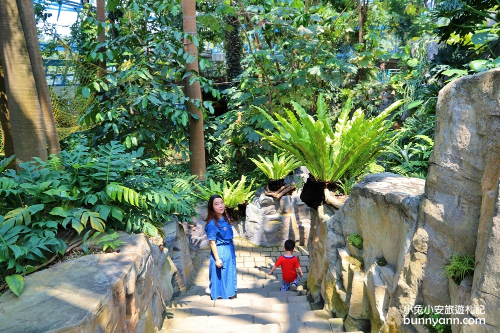 小亞馬遜雨林~台中植物園迷你熱帶雨林，走進叢林裡找尋冒險味道。