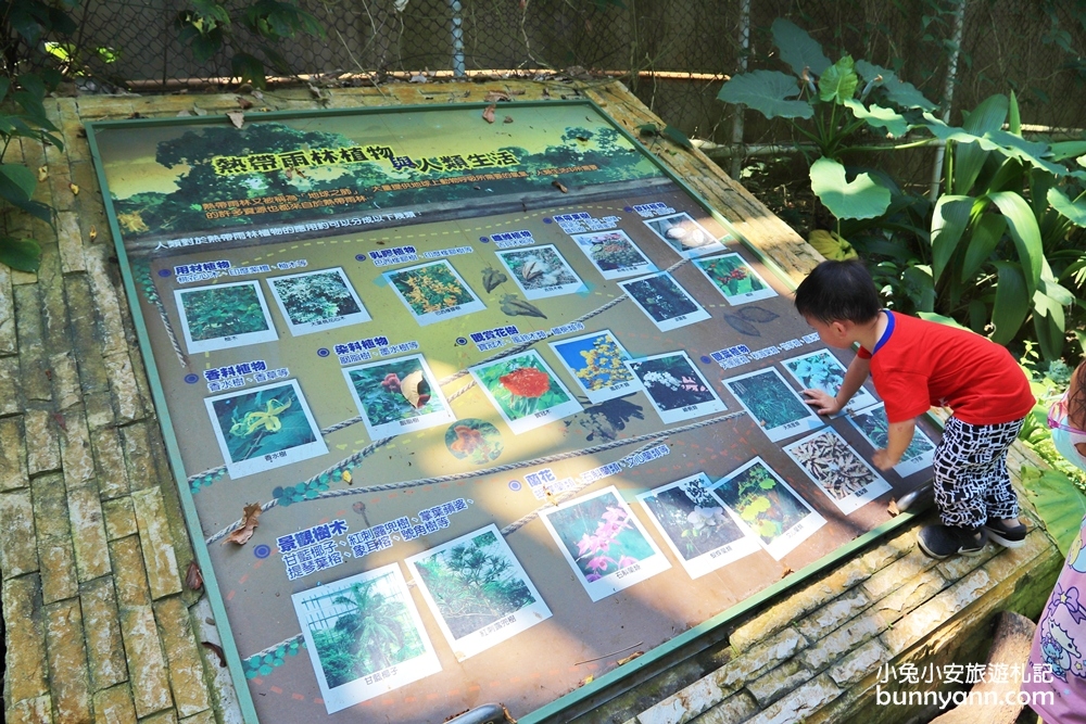 小亞馬遜雨林~台中植物園迷你熱帶雨林，走進叢林裡找尋冒險味道。