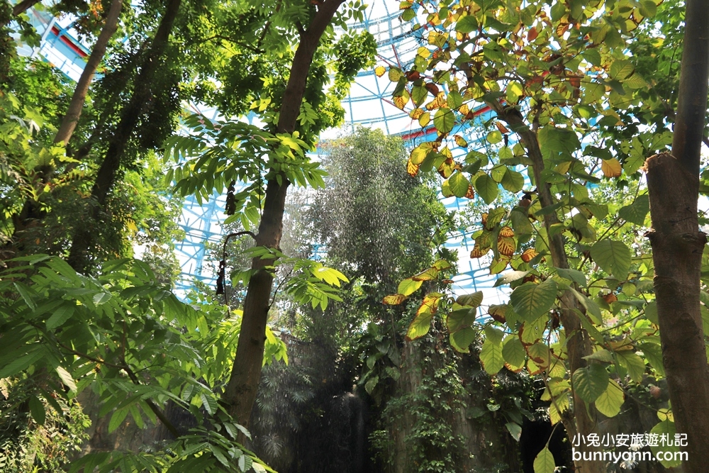 小亞馬遜雨林~台中植物園迷你熱帶雨林，走進叢林裡找尋冒險味道。