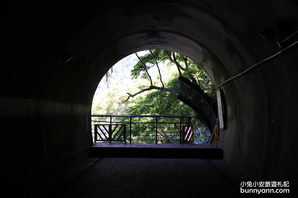 花蓮景點小錐麓步道，15分鐘攻略兩條吊橋與太魯閣河谷。