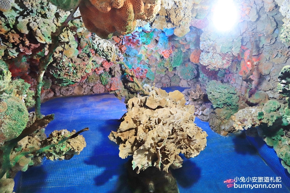 澎湖景點》竹灣大義宮(珊瑚洞)，已經沒有海龜回歸參拜廟宇。