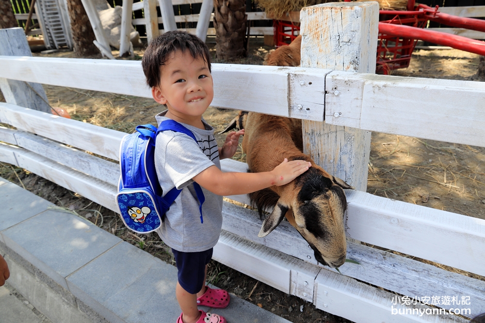 宜蘭》新玩法！綺麗觀光園區歡樂嘉年華，飄移卡丁車、鳥園餵鸚鵡、梅花鹿互動、蝴蝶館，快出發踩點去～