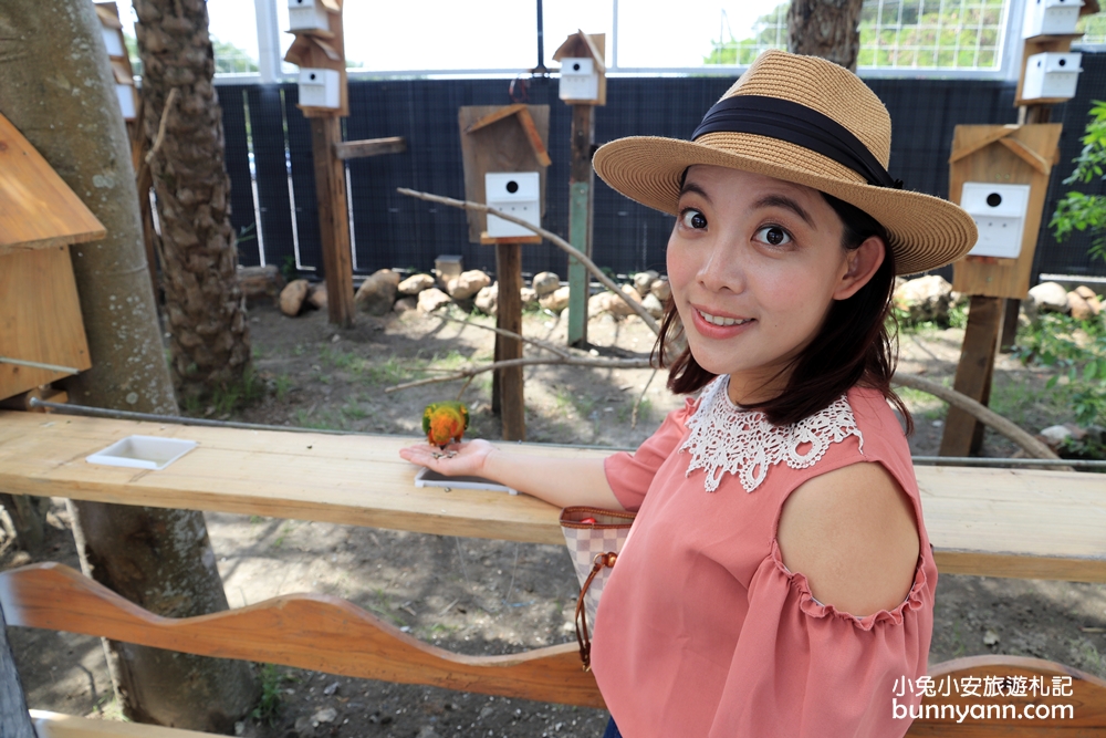 宜蘭》新玩法！綺麗觀光園區歡樂嘉年華，飄移卡丁車、鳥園餵鸚鵡、梅花鹿互動、蝴蝶館，快出發踩點去～