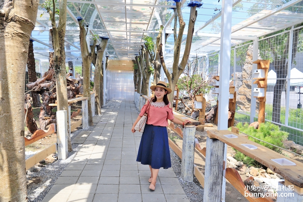 宜蘭》新玩法！綺麗觀光園區歡樂嘉年華，飄移卡丁車、鳥園餵鸚鵡、梅花鹿互動、蝴蝶館，快出發踩點去～