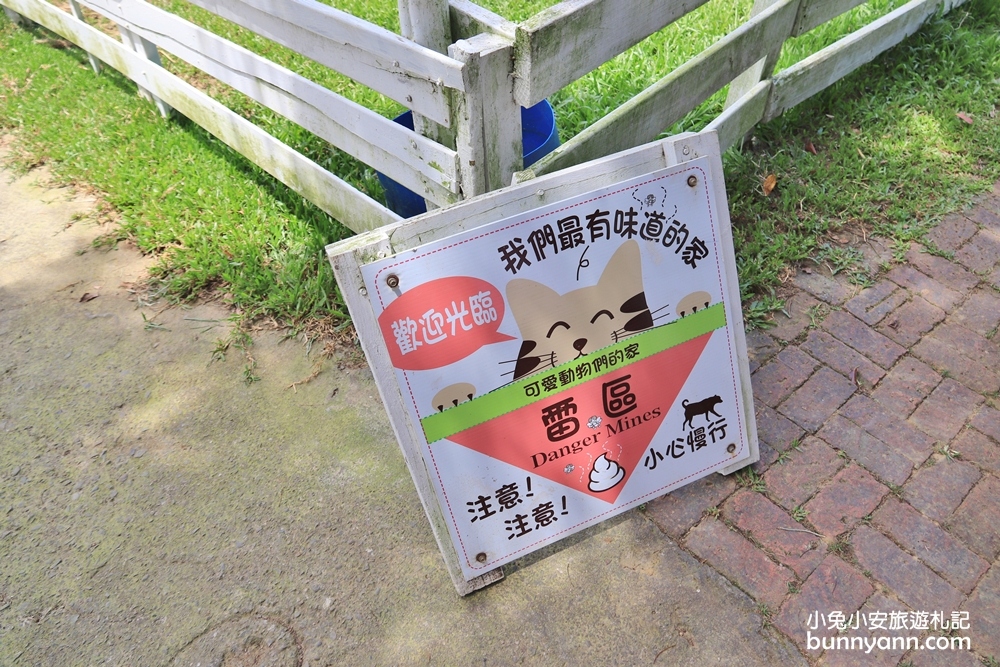 桃園景點》富田花園農場，羊駝、城堡、水上教堂一次拍個夠