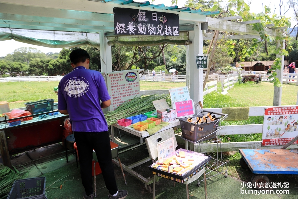 桃園景點》富田花園農場，羊駝、城堡、水上教堂一次拍個夠