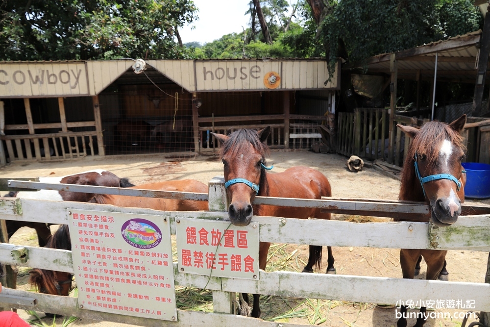 桃園景點》富田花園農場，羊駝、城堡、水上教堂一次拍個夠