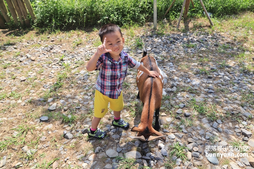 【鹿羽松牧場】小鹿斑比、水豚、羊駝現身，看海樹屋也太放鬆!!