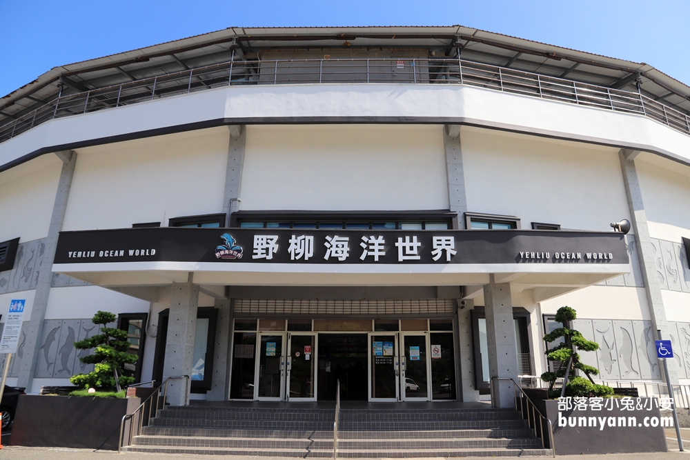 新北來跟海豚親親！野柳海洋世界/洞穴水族館(門票優惠)