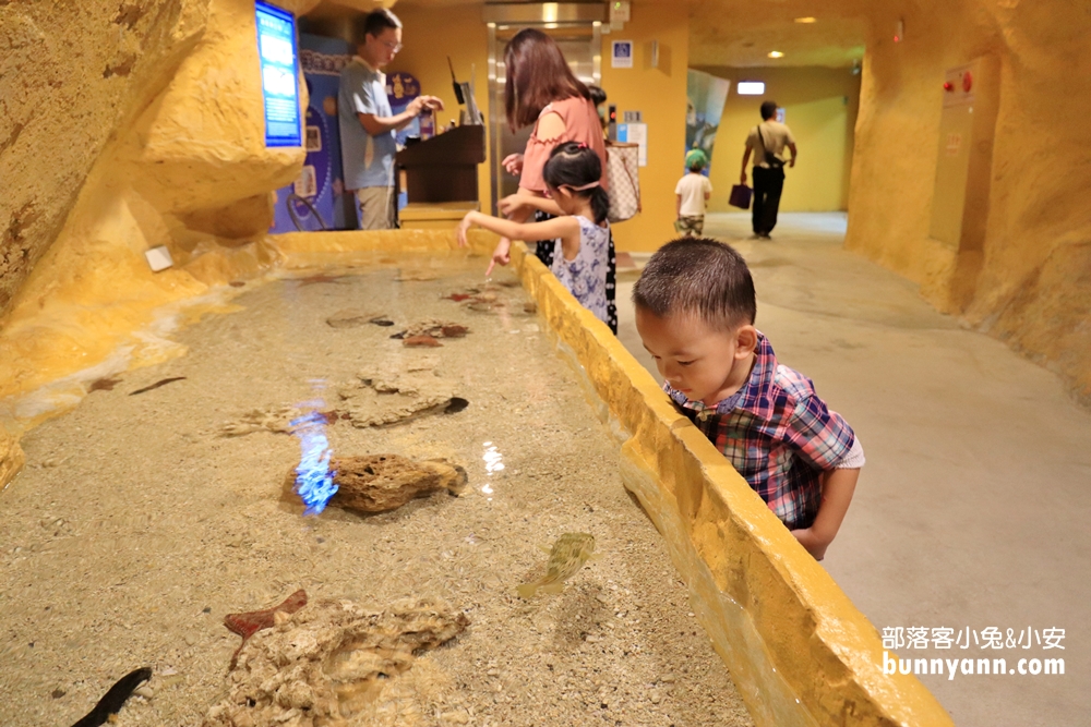 新北》來跟海豚親親！野柳海洋公園洞穴水族館，北部唯一海星觸摸池、真人高空跳水，放假就來這玩！