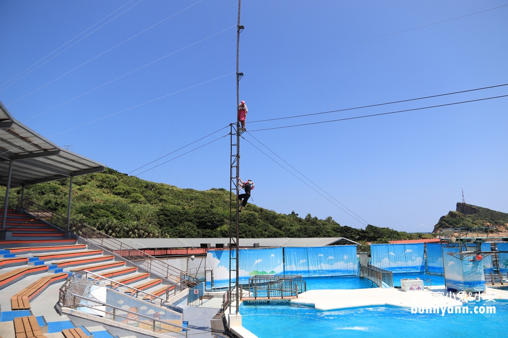 新北來跟海豚親親！野柳海洋世界/洞穴水族館(門票優惠)