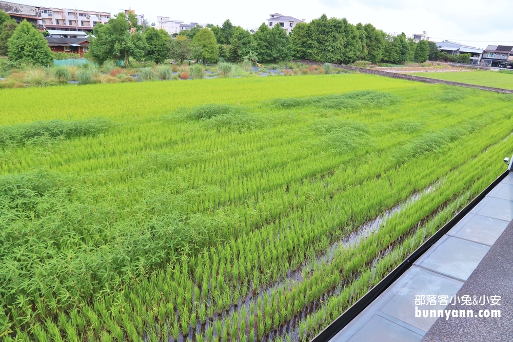 宜蘭住宿》蘭庭民宿，私廚料理、氮氣咖啡，宜蘭玩住這就對