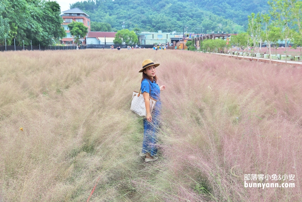 南投》免飛韓國了！集集浪漫粉黛亂子草，和平快樂田園粉紅棉花糖場景好夢幻！