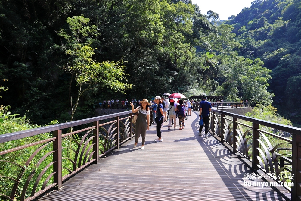 【內洞森林遊樂區】幫你找到步行30分鐘就能欣賞到瀑布的烏來森林園區