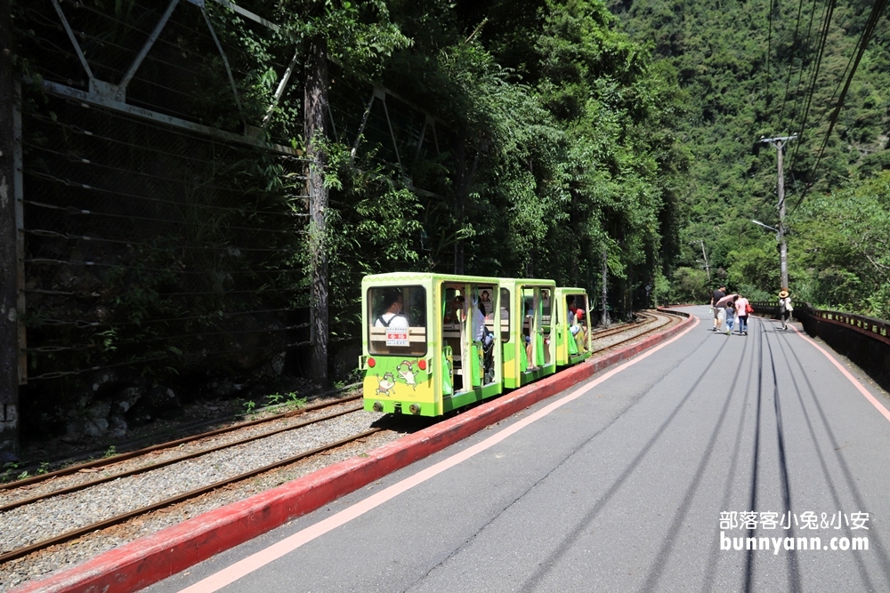 2024新北烏來景點一日遊，來去烏來老街吃美食搭台車賞瀑布