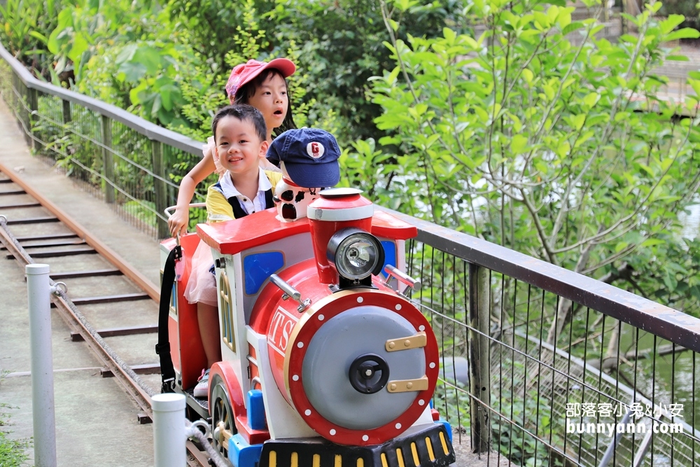 嘉義景點》綠盈牧場(粉牛樂園)全年齡都適合，牽牛花溜滑梯超好玩