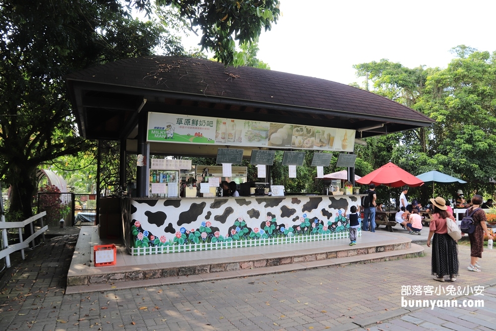 嘉義景點》綠盈牧場(粉牛樂園)全年齡都適合，牽牛花溜滑梯超好玩