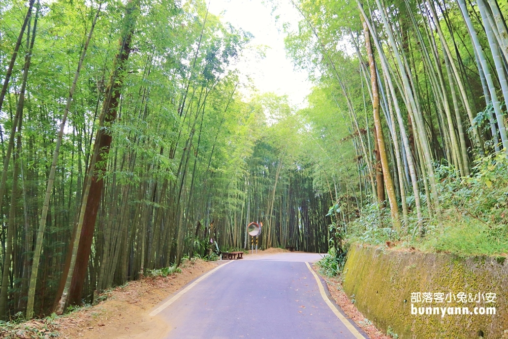 瑞里綠色隧道