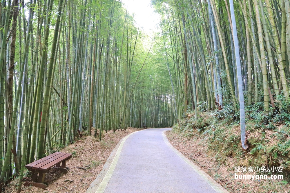 瑞里綠色隧道浪漫竹林步道免費拍，美如明信片場景。