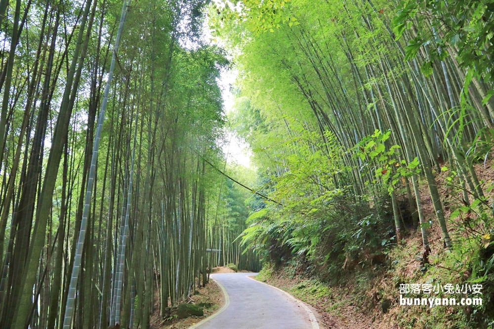 瑞里綠色隧道浪漫竹林步道免費拍，美如明信片場景。