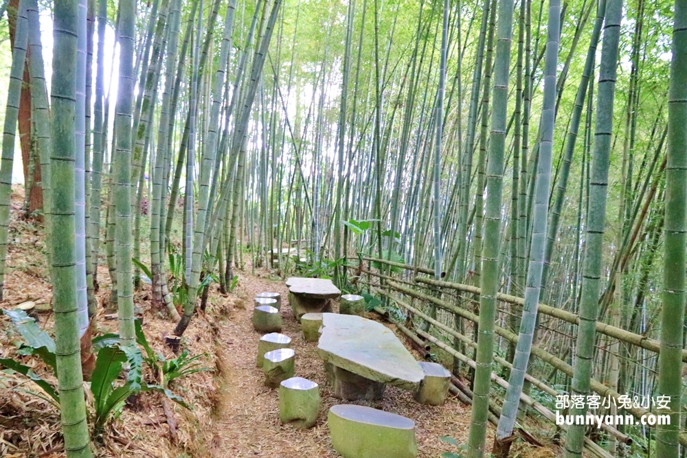 瑞里綠色隧道浪漫竹林步道免費拍，美如明信片場景。