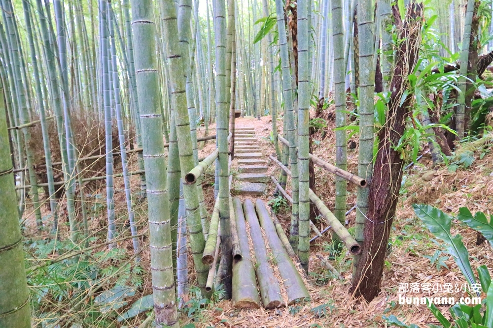 瑞里綠色隧道浪漫竹林步道免費拍，美如明信片場景。