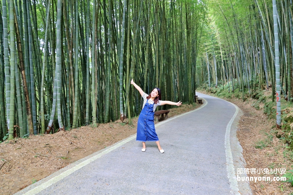 瑞里綠色隧道浪漫竹林步道免費拍，美如明信片場景。