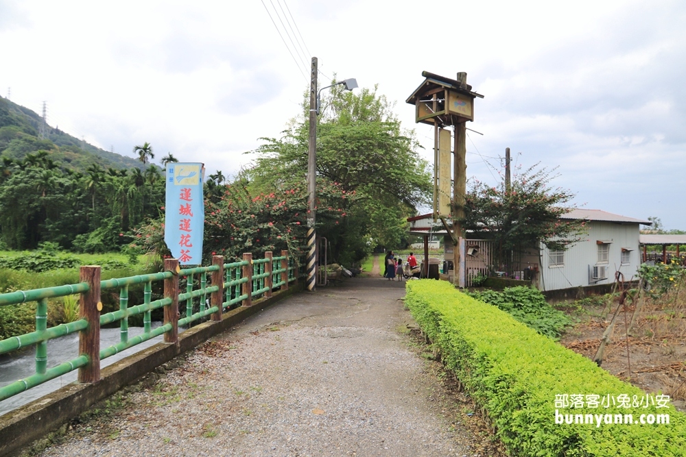 花蓮景點蓮城蓮花園，免費請你喝大壺蓮花茶，還可戲水跟餵魚