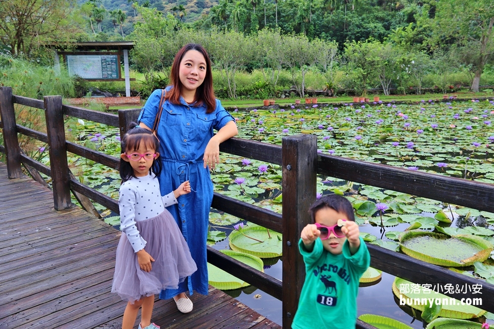 花蓮景點蓮城蓮花園，免費請你喝大壺蓮花茶，還可戲水跟餵魚