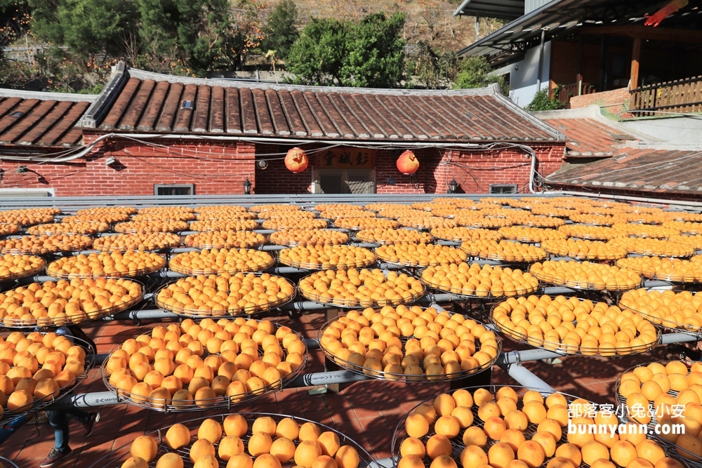 6.金漢柿餅教育農園，新竹農場欣賞曬柿子