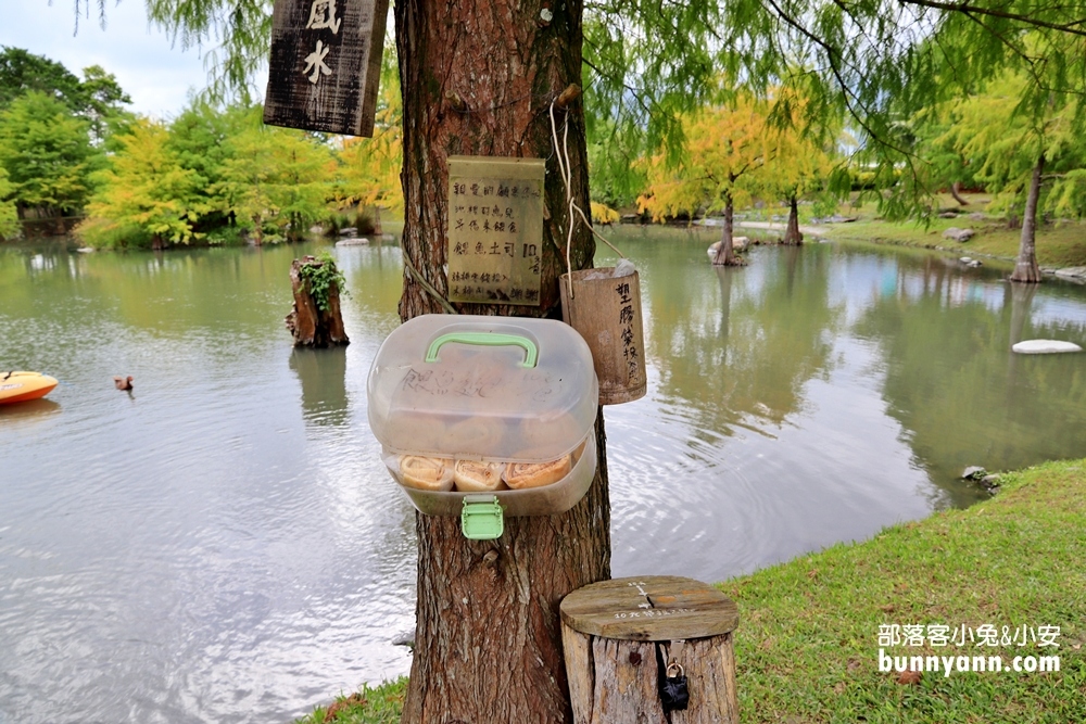 花蓮美食推薦》松湖驛站，賞縮小版三灣落羽松，水樣森林拍美照